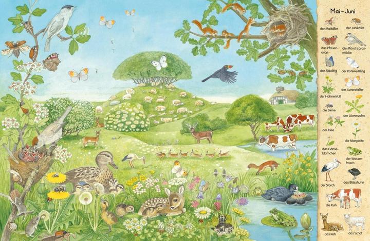 Image du produit Mein erstes Wimmelbuch - Jahreszeiten (Allemand, Christine Henkel, 2017)