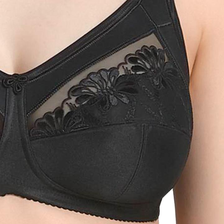 Produktbild Anita Safina (Einzelpack, 110 C)