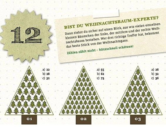 Image du produit Le calendrier ultime des énigmes difficiles
