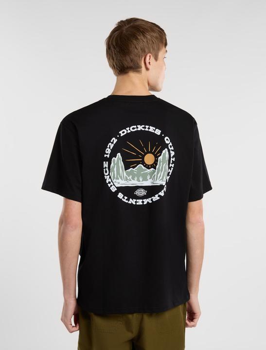 Actual product image Dickies Outdoor Ss Tee Black (XL)