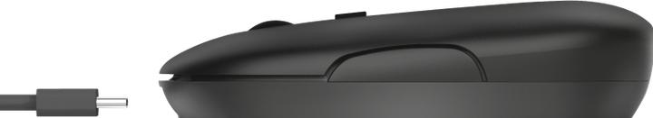 Actual product image Trust Puck (Wireless)