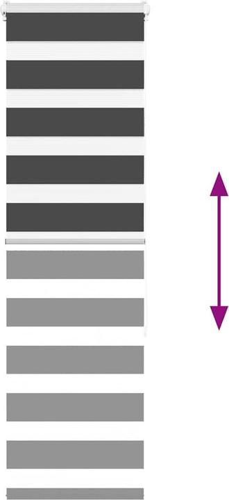 Produktbild vidaXL Zebra-Jalousie (40 x 150 cm)