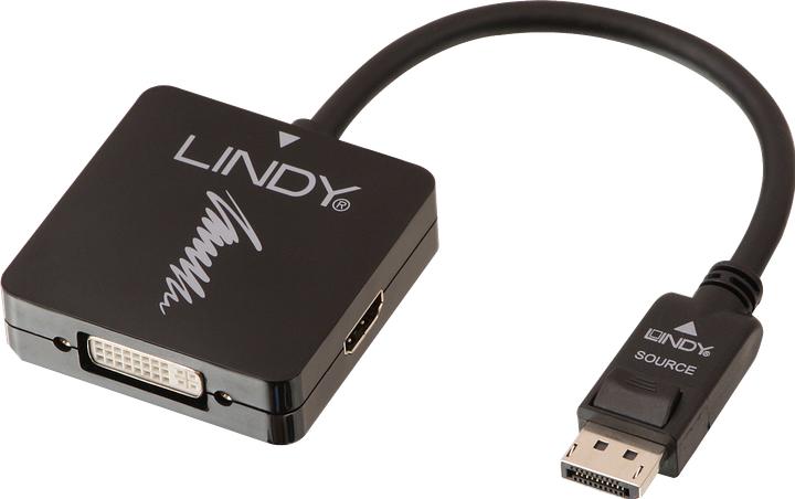 Productafbeelding Lindy DisplayPort naar (HDMI, DVI, VGA, 20 cm)