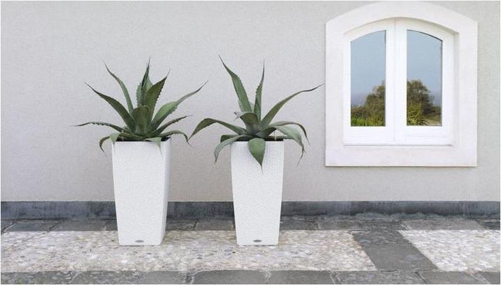 Actual product image Lechuza Cubico Cottage (39.50 cm)