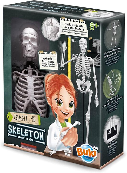 Actual product image Buki France 2180 Skeleton 45 cm For 8+ Years