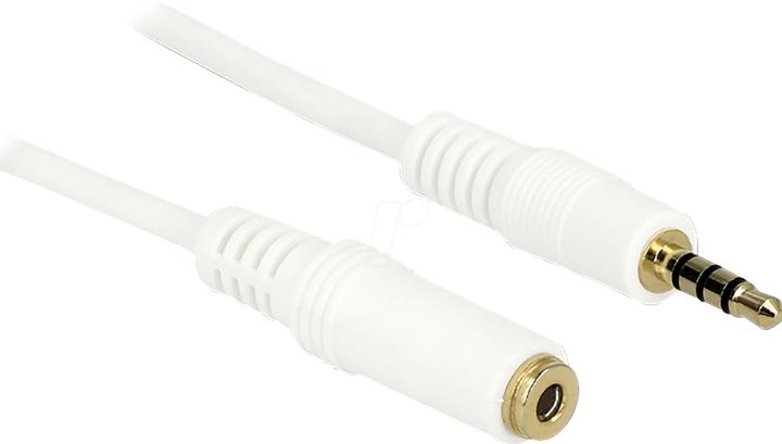 Actual product image Delock 84717 Audio cable (0.50 m, Extension)