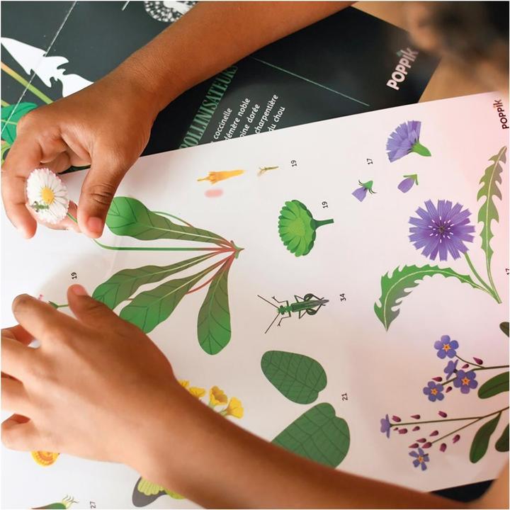 Actual product image Poppik Sticker Learning Poster Botany (72 Sticker)