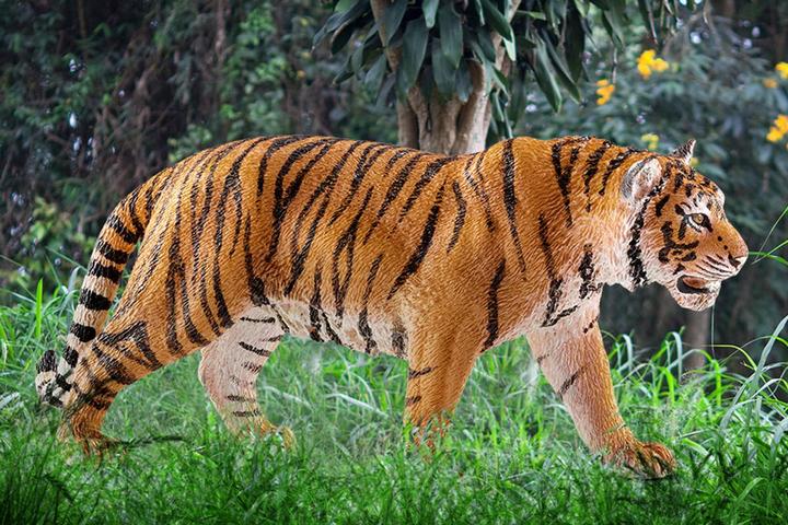 Actual product image Schleich King Tiger