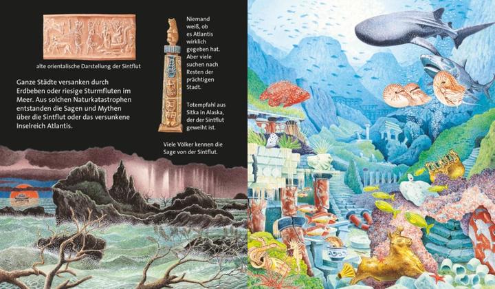 Produktbild Schätze und Wracks (Deutsch, Raoul Sautai, Claude Delafosse, Salah Naoura, Ute Fuhr, 2021)