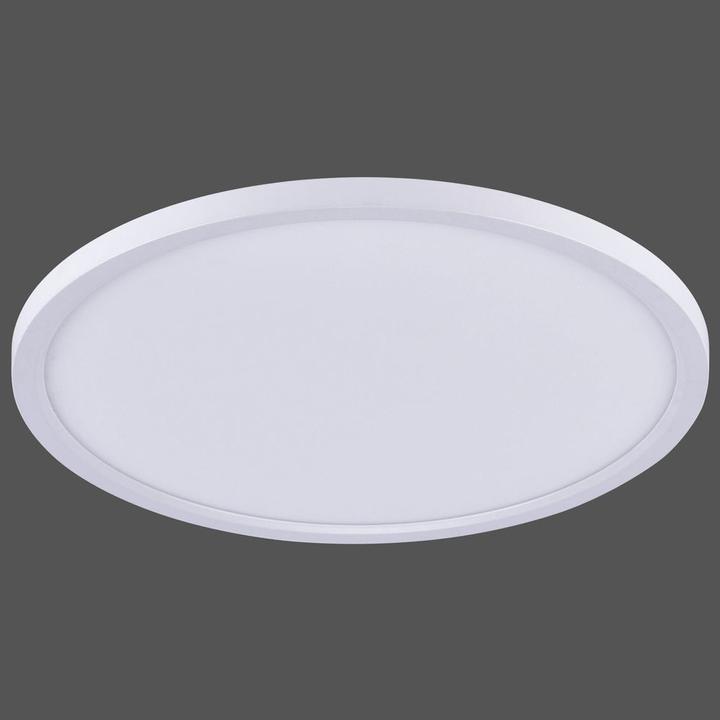 Produktbild Paul Neuhaus Flat (2500 lm)