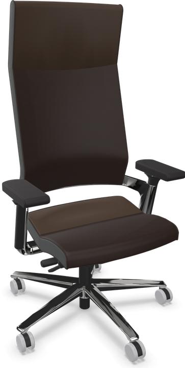 Poliert, Leder Premium Dunkelbraun