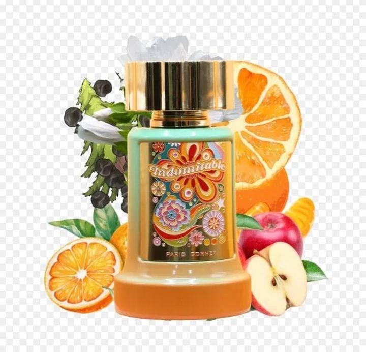 Image du produit Paris Corner Indomptable (Eau de parfum, 100 ml)
