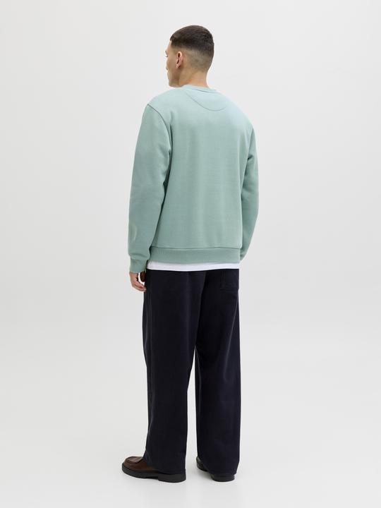 Produktbild Jack & Jones Jjebradley Sweat Crew Noos (S)