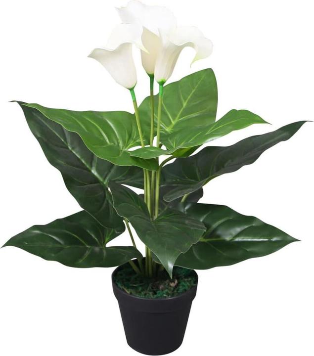 Bianco