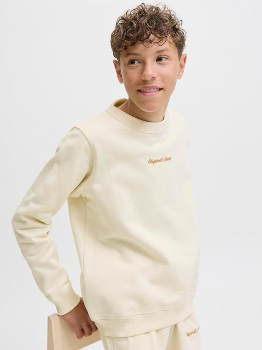 Produktbild Jack & Jones Jornorrebro Emb Sweat Crew Noos Jnr (128)