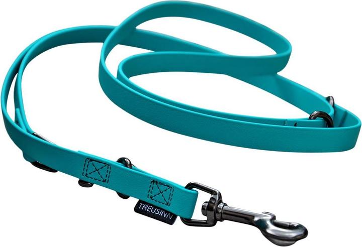 Treusinn. Hundeleine Biothane STAY (Hund, Spazieren)