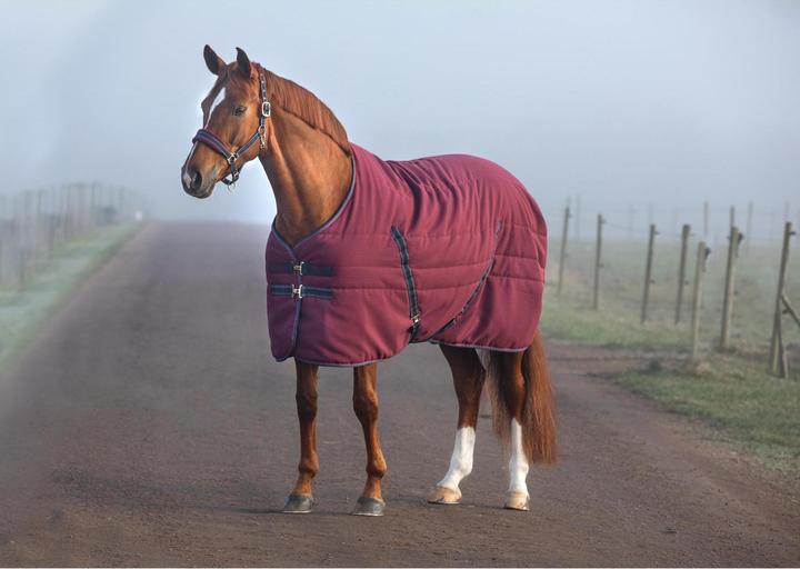 Actual product image Horseware stable blanket rambo stable 200 g (155 cm)