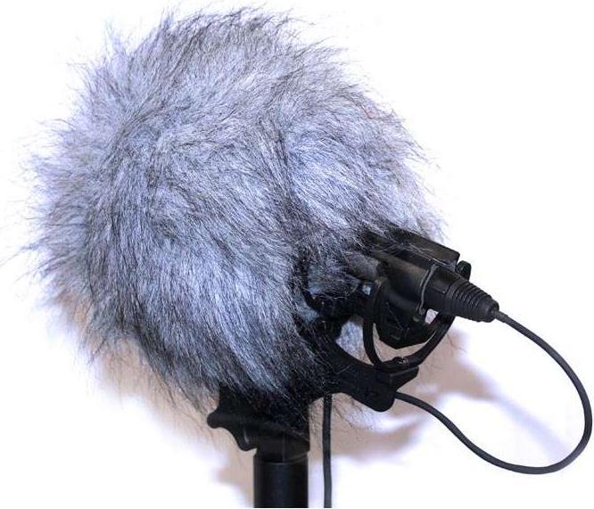 Image du produit Rycote Bbg Wj (Peaux)