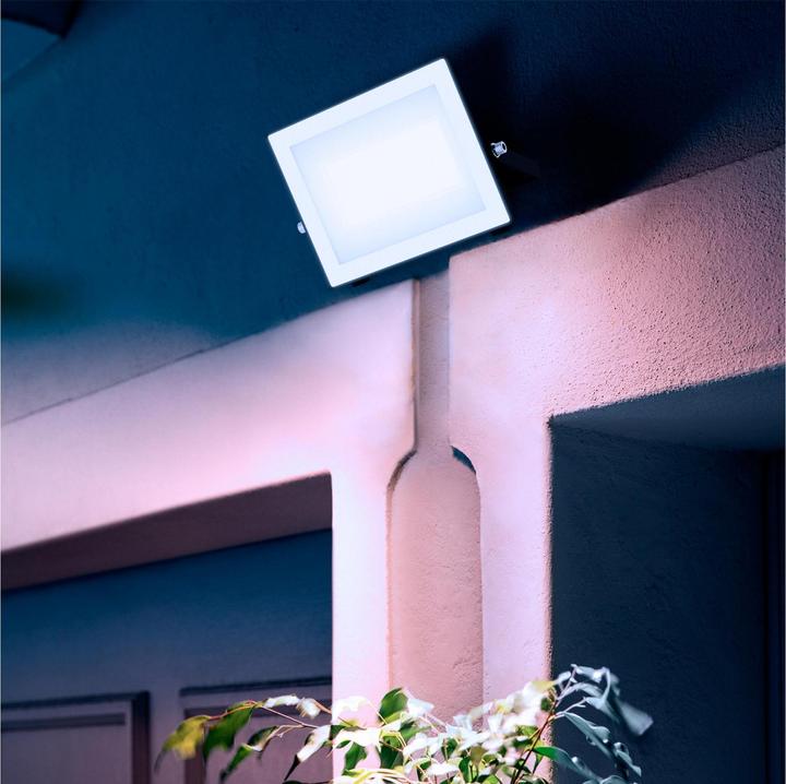 Actual product image Philips Outdoor Flutlicht Lois (4750 lm, IP65)