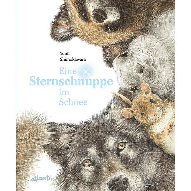 Eine Sternschnuppe im Schnee, Kinderbücher von Yumi Shimokawara