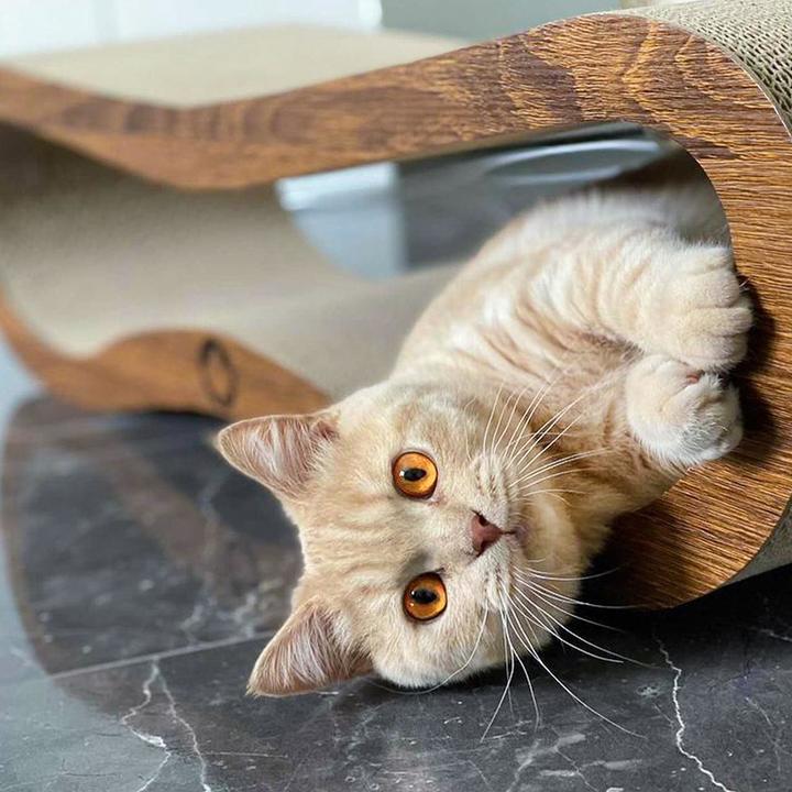 Actual product image CanadianCat Orbit (Brown)