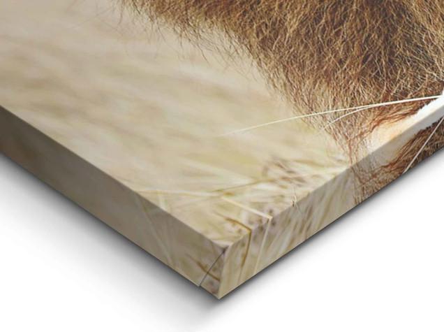 Produktbild Eibert Visual Bilder (40 x 118 cm)