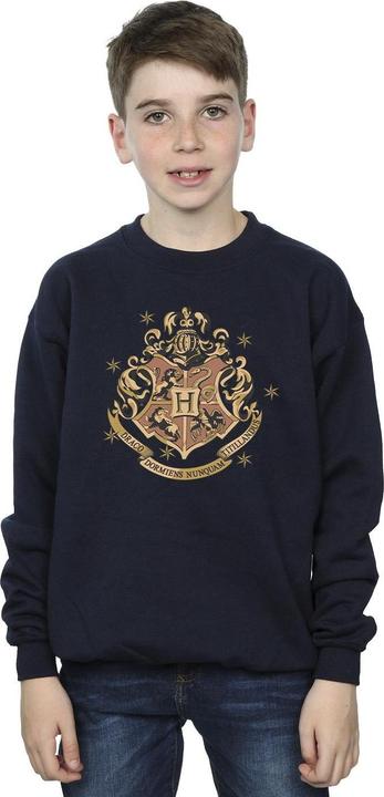 Produktbild Gold Hogwart Crest Sweatshirt Jungen (152, 158)