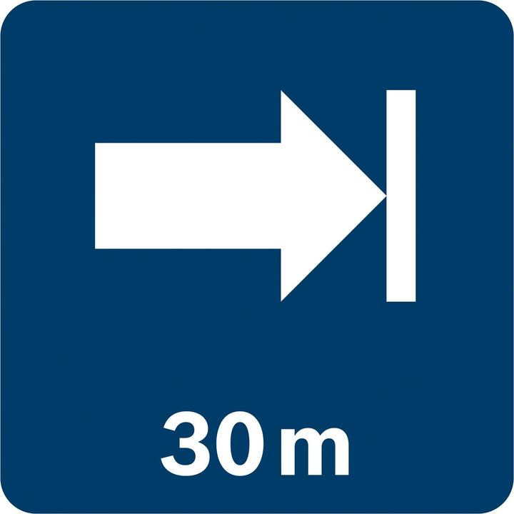 Actual product image Bosch Professional GPL 3 G