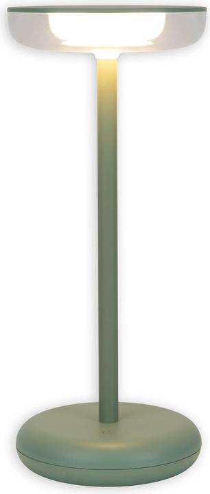 Verde menta