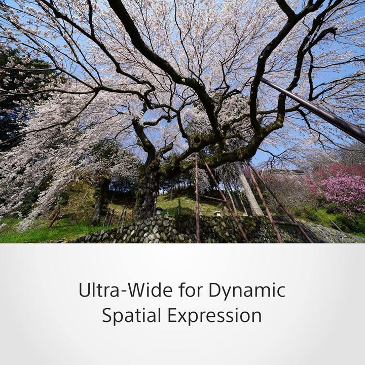 Actual product image Sony FE 12-24mm f/4.0 G (Sony E, full size)