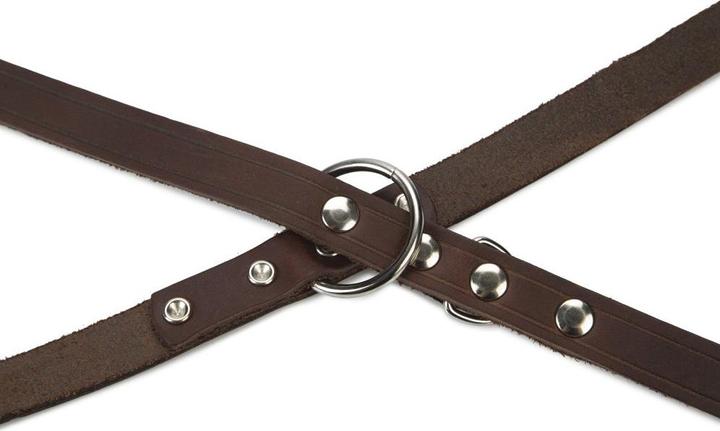 Actual product image Beeztees Dog leash (Dog, Dog sport)