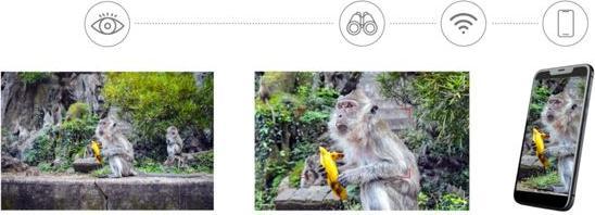 Image du produit Levenhuk Kelvin Snap ED 8x42 Digital Photobinoculars (8x, 42 mm)