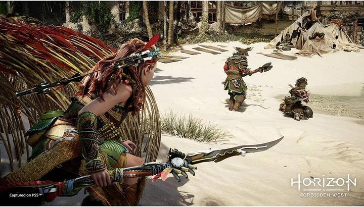 Productafbeelding Sony Horizon Verboden Westen (PS5, DE)
