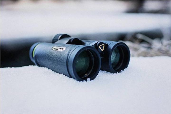 Produktbild Vanguard Endeavor ED IV 8x42 (8x, 42 mm)