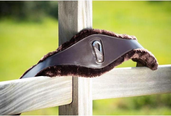 Produktbild HFI Master Sattelgurt