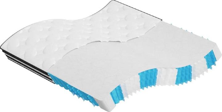 vidaXL Taschenfederkern-Matratze (200 x 200 cm)