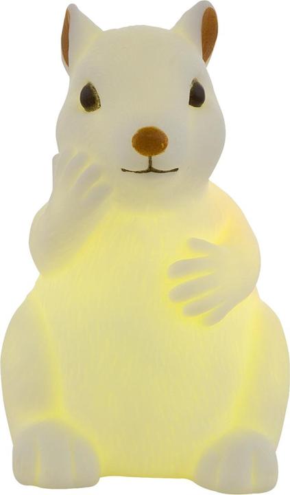 Actual product image Globo Kraka