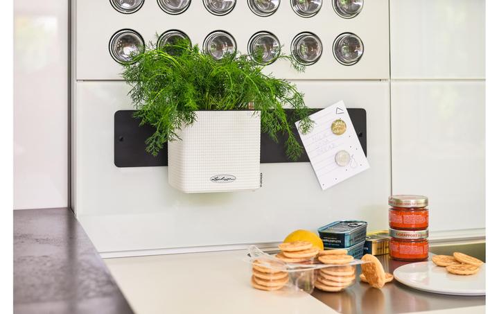 Produktbild Lechuza Cube (14 x 14 x 13.50 cm)