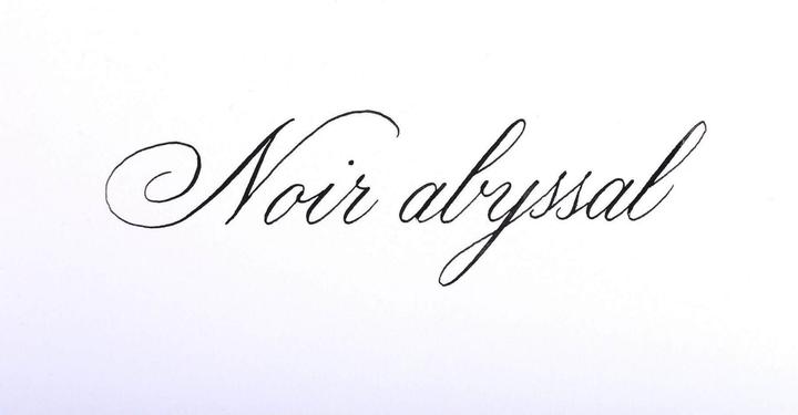 Immagine prodotto Herbin Scrivere (160 Pezzo/i, Nero)