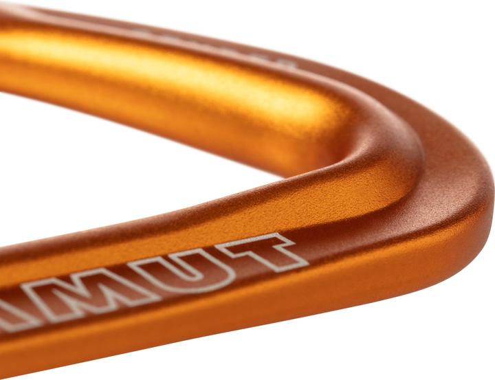 Produktbild Mammut Sender Keylock 17 cm Quickdraw