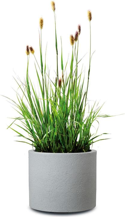Actual product image Scheurich Flowerpot Stony Grey, plastic, Ø 39 cm, grey (39 x 32 cm)