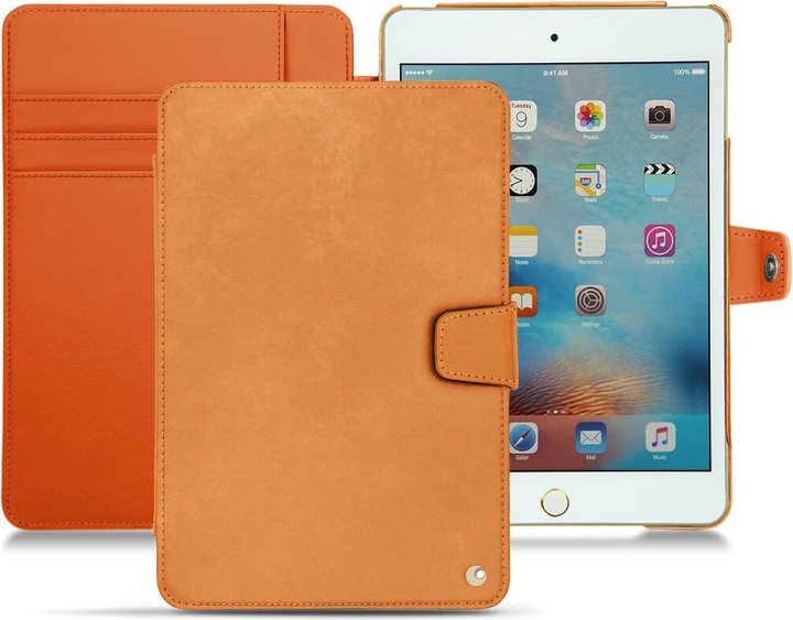 Mandarine vintage ( Pantone #d47231 )