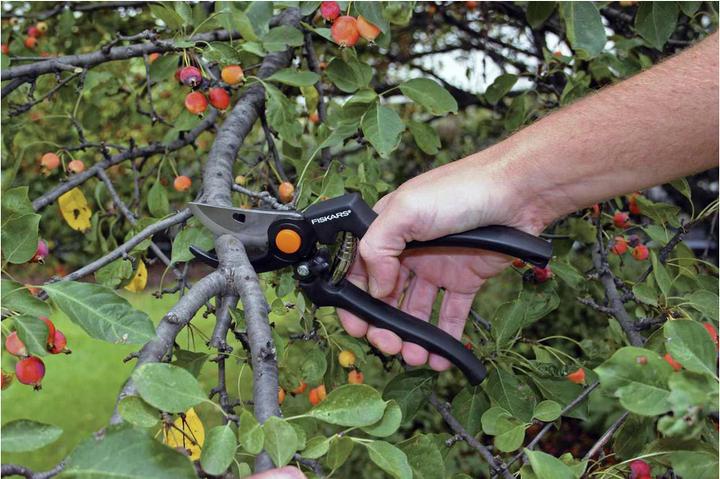 Immagine prodotto Fiskars Cesoie da giardino Bypass Pro 111960