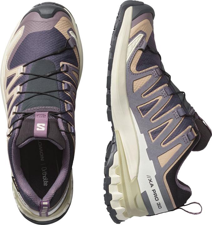 Image du produit Salomon XA Pro 3D V9 GTX (37.5)