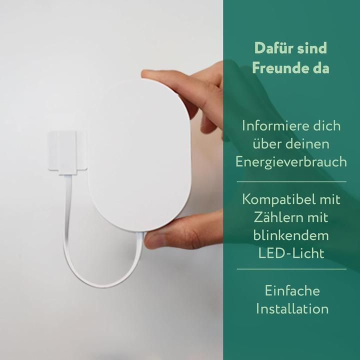 Actual product image Frient External Meter Interface 2 LED