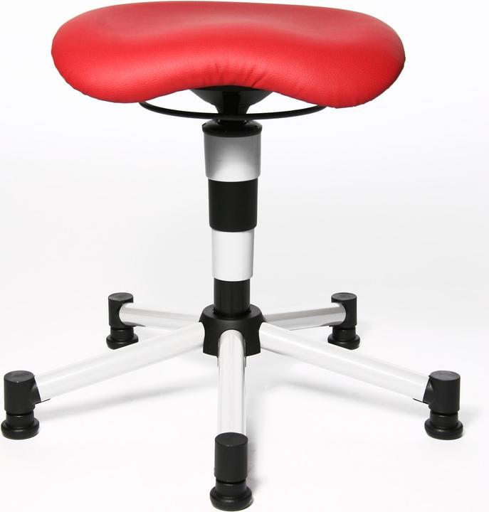 Actual product image Topstar Body Balance 20