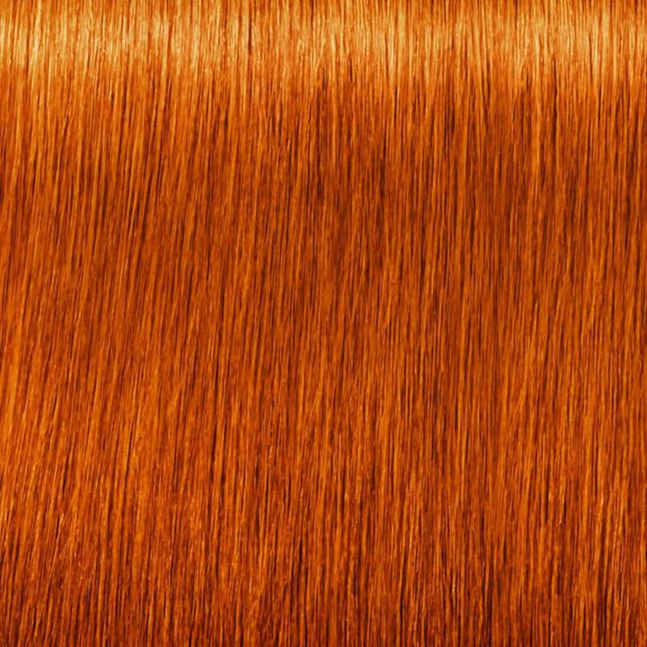 Produktbild Schwarzkopf Igora Zero AMM - 7-77 Mittelblond Kupfer Extra (7-77 Mittelblond Kupfer Extra)