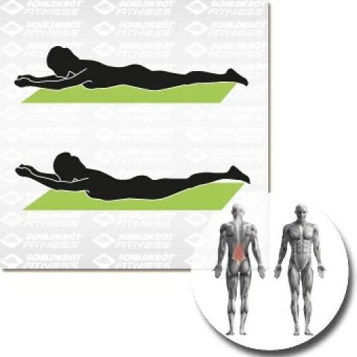 Produktbild Schildkröt Fitnessmatte (15 mm)