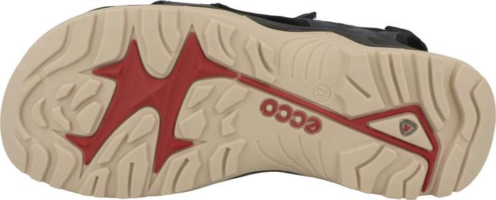 Actual product image Ecco Offroad Yucatan Sandal (41)