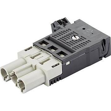 Thumbnail - Bachmann, Netzstecker + Netzkupplung, Drahtverbinder